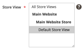 Store View Support